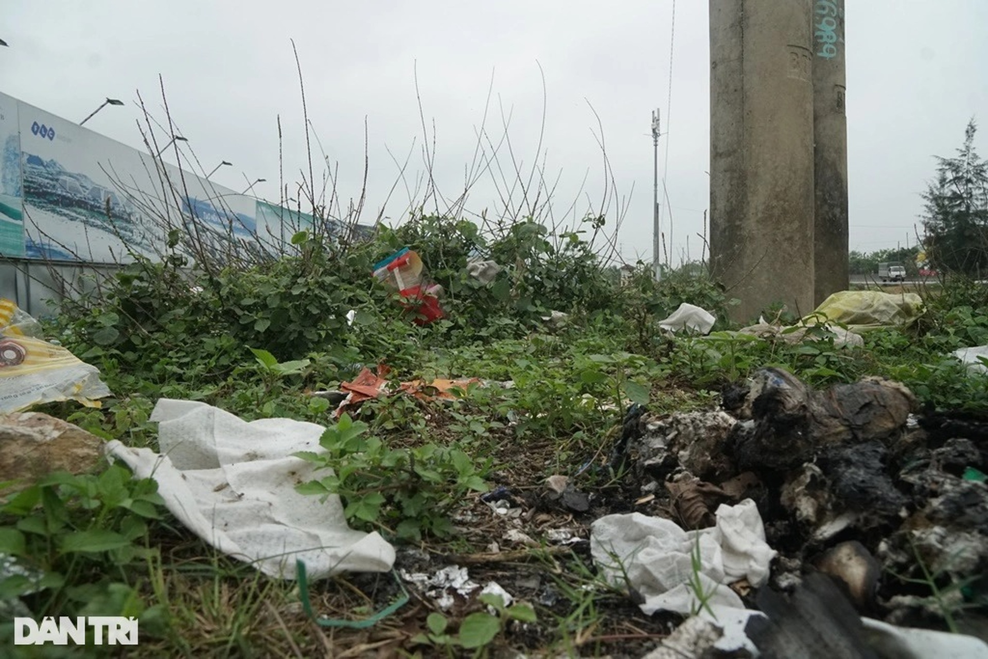 Bãi thả trâu bò - Hình hài dự án 2.300 tỷ đồng của FLC sau gần 1 thập kỷ - 9 Bãi thả trâu bò - Hình hài dự án 2.300 tỷ đồng của FLC sau gần 1 thập kỷ - 9