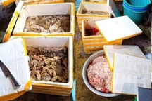 Đà Nẵng xử phạt cơ sở kinh doanh gần 3,5 tấn lòng heo, bò trôi nổi