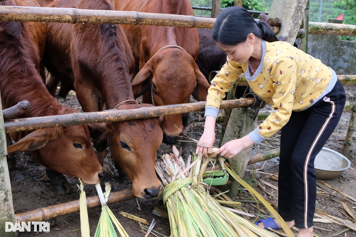 Thai phụ suýt chết dưới gầm xe tải đã hồi sinh kỳ diệu - 3 Thai phụ suýt chết dưới gầm xe tải đã hồi sinh kỳ diệu - 3