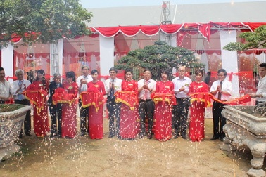 Công nhận Cây Di sản Việt Nam cho 9 cây mang nguồn gene quý