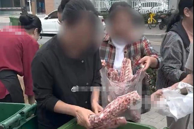 Hàng chục người bới thùng rác tranh giành đống xương cừu mang về