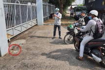 Ngăn hỗn chiến, 2 bảo vệ dân phố bị đâm trọng thương