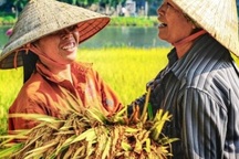 Ninh Bình được mùa: Những bức tranh tuyệt đẹp đầy màu sắc