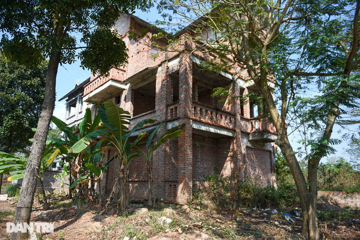 Biệt thự để cỏ mọc um tùm nhưng được hét giá khiến đại gia bỏng tay - 15