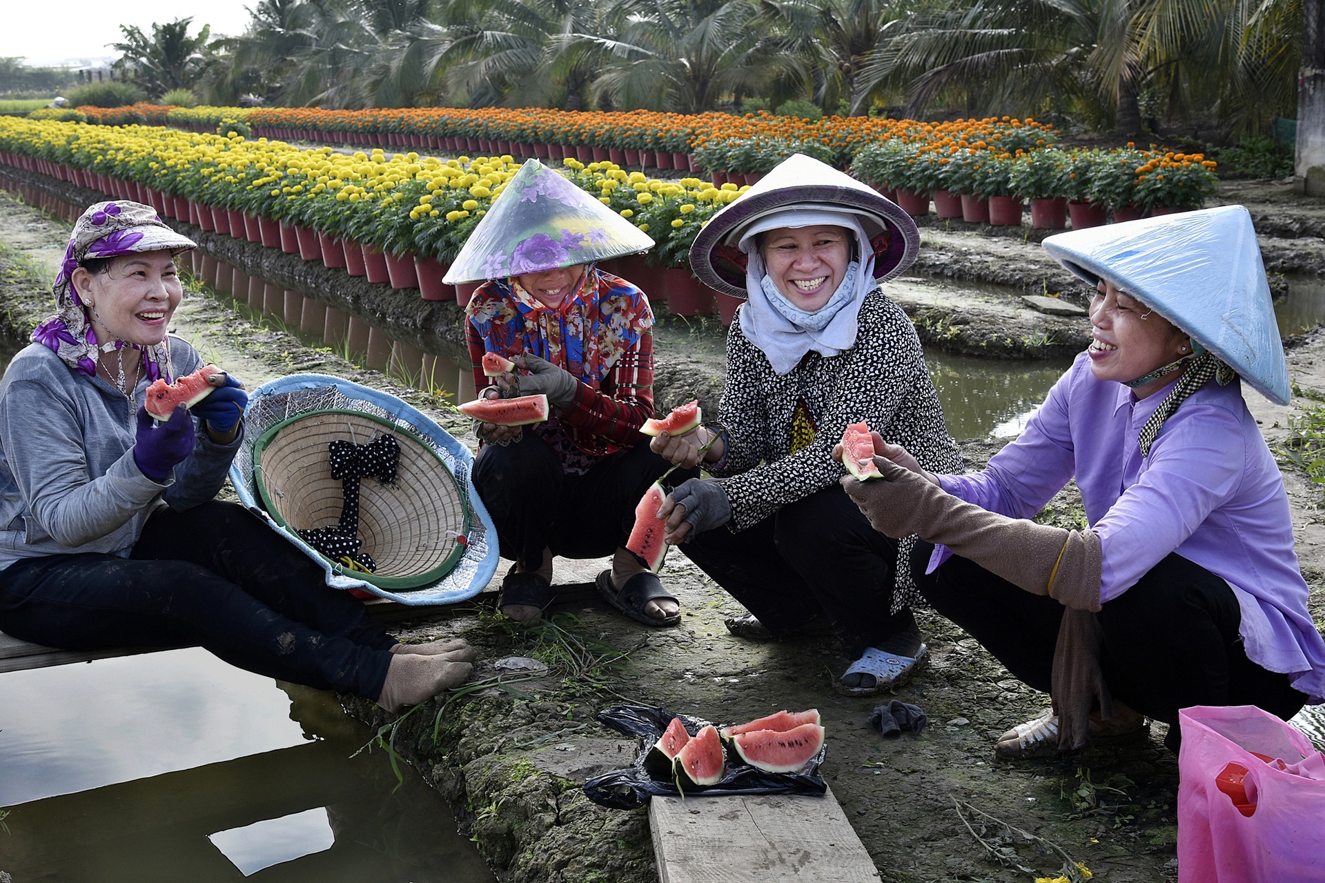 Nét đẹp lao động Tết: Cuộc thi ảnh của báo Dân trí thu hút đông đảo tác giả - 20 Nét đẹp lao động Tết: Cuộc thi ảnh của báo Dân trí thu hút đông đảo tác giả - 20