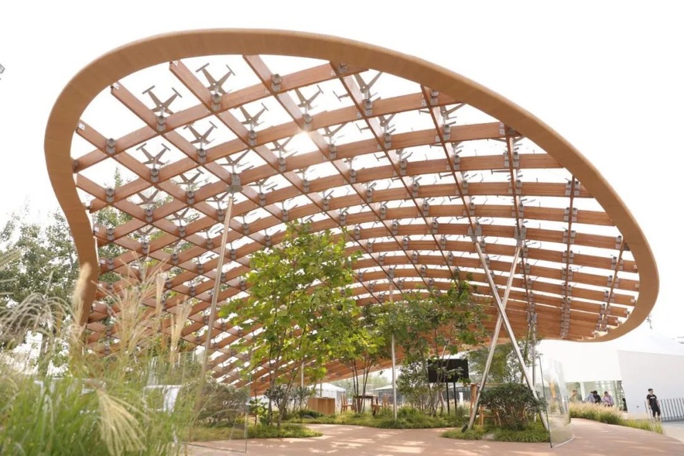 Cặp vợ chồng bỏ phố về quê, dành 6 năm làm nhà vườn 1.500m2 đẹp như tranh - 3 Cặp vợ chồng bỏ phố về quê, dành 6 năm làm nhà vườn 1.500m2 đẹp như tranh - 3