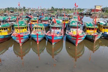 Xác minh hơn 4.300 tàu cá không bật giám sát hành trình