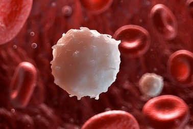 Các triệu chứng của ung thư máu