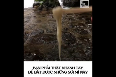 “Mì ống tre”- món ăn buộc thực khách phải nhanh tay nếu không muốn bị đói