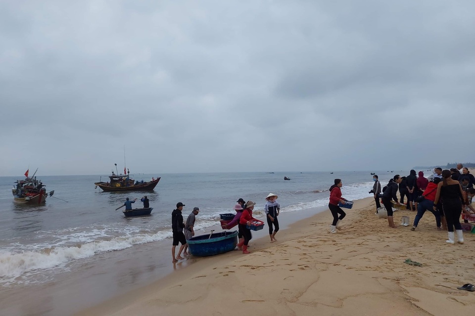 Ngư dân bãi ngang vui mừng trúng lộc biển những ngày đầu năm mới - 1 Ngư dân bãi ngang vui mừng trúng lộc biển những ngày đầu năm mới - 1