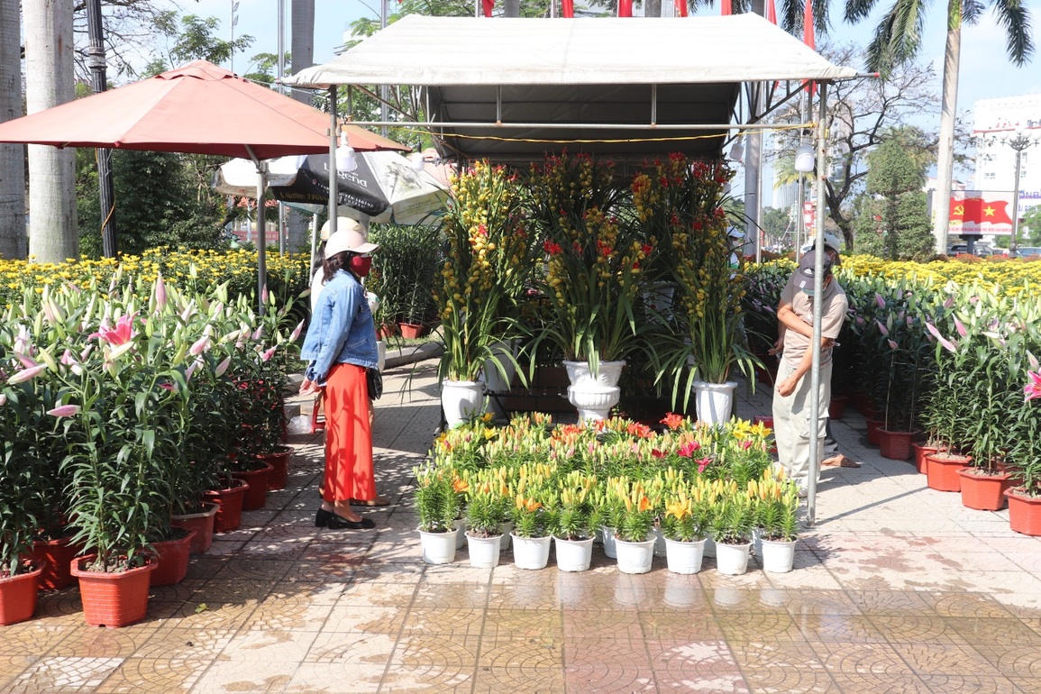 Sắc xuân rực rỡ phố Huế - 4 Sắc xuân rực rỡ phố Huế - 4