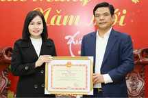 Sáng kiến đã nhận danh hiệu thi đua không xét tặng thêm bằng khen