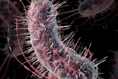 Các nhà sinh học sắp tái cơ cấu được mã di truyền của sự sống