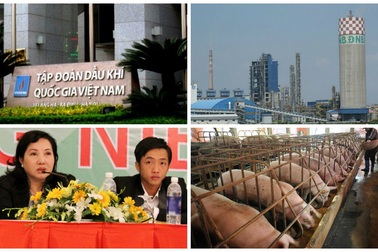 "Nóng" chuyện kỷ luật các cựu lãnh đạo PVN, khởi tố sếp Euro Auto