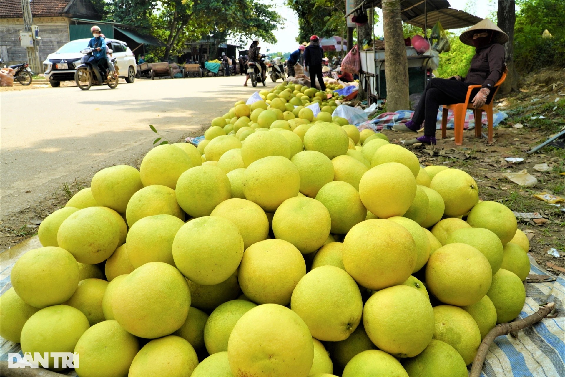 View - Phiên chợ có một không hai, chỉ bán "đệ nhất danh quả" | Báo Dân trí