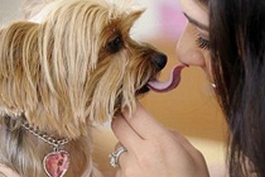 Ảnh lạ trong năm của vương quốc động vật (1)