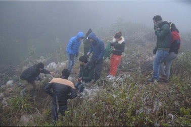 Không khí lạnh tăng cường, miền Bắc rét hại