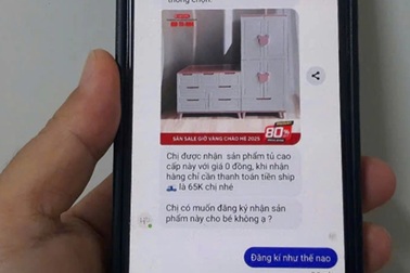 Mua tủ khuyến mãi giá 0 đồng qua mạng, người phụ nữ mất 554 triệu đồng