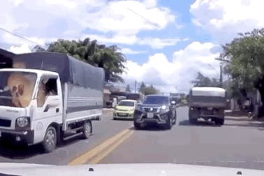 Đừng để người chơi xe bán tải bị "vơ đũa cả nắm"!