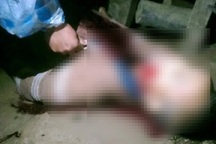 Quảng Nam: Say rượu, con rể dùng cây sát hại bố vợ