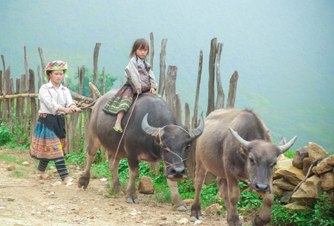 Bài toán giải quyết vấn đề lao động trẻ em vùng biên giới, dân tộc thiểu số - 1 Bài toán giải quyết vấn đề lao động trẻ em vùng biên giới, dân tộc thiểu số - 1