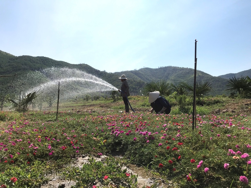 Nhóm 9X về quê khởi nghiệp: Làm việc từ tinh mơ, chọn rủi ro cao để dẫn đầu - 6 Nhóm 9X về quê khởi nghiệp: Làm việc từ tinh mơ, chọn rủi ro cao để dẫn đầu - 6