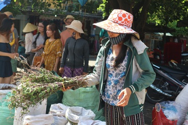 Nhộn nhịp vào vụ lá mùng Năm