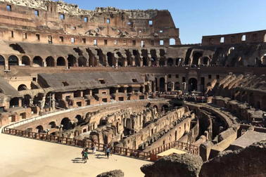 Phát hiện hài cốt động vật trong Đấu trường La Mã, hé lộ sự thật đáng sợ