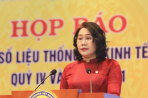 Đề xuất thành lập Thanh tra Tổng cục Thống kê