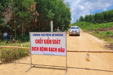 78 ca mắc bạch hầu, cảnh báo nhiều trường hợp không biểu hiện bệnh