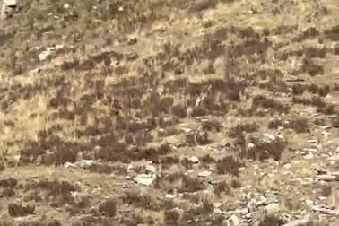 Vợ chồng Mỹ phát hiện sinh vật nghi là người khổng lồ lang thang ở sườn núi