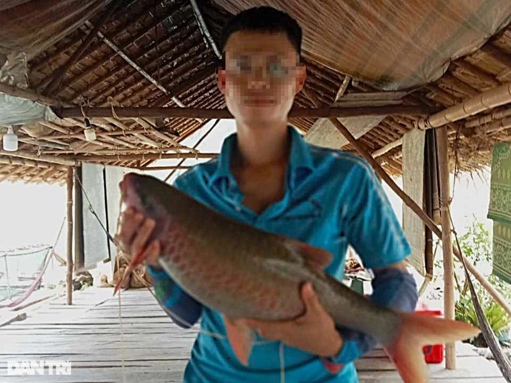 Mùa săn cá đặc sản trên sông Lam - 3 Mùa săn cá đặc sản trên sông Lam - 3