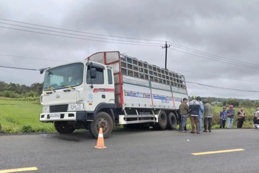 Va chạm với ô tô, người đàn ông đi xe đạp tử vong