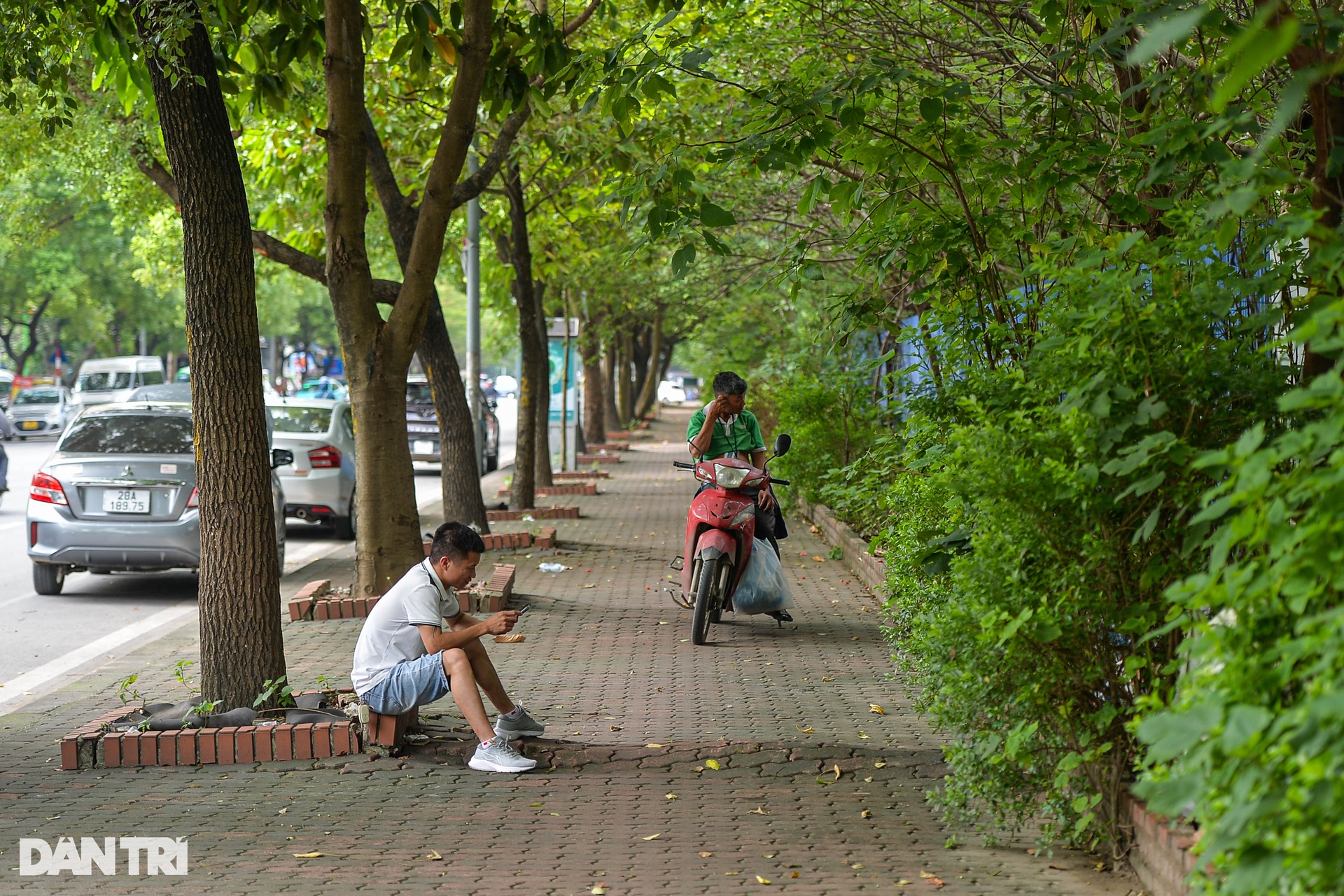 Dự án công viên trị giá 1.600 tỷ đồng bỏ hoang hơn một thập kỷ ở Hà Nội - 10