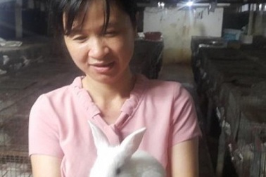 Nam Định: Nuôi gần 1 vạn thỏ, mỗi tháng lãi gần 100 triệu đồng
