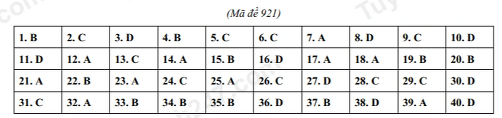 Đáp án, đề thi tất cả các môn kỳ thi lớp 10 tại Hải Phòng năm 2024 - 19