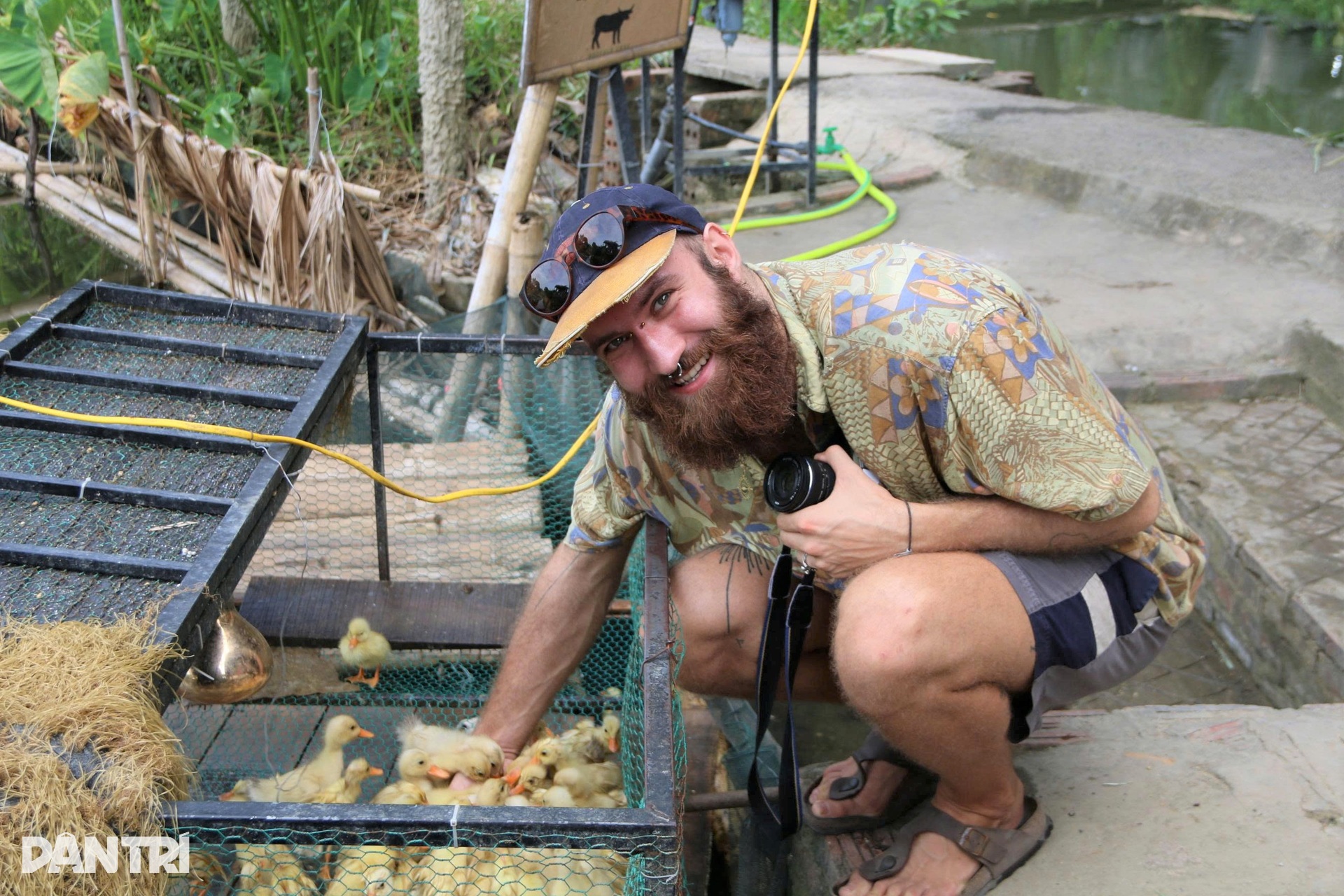 Khách Tây chi tiền triệu để cưỡi trâu, cấy lúa ở Ninh Bình - 12 Khách Tây chi tiền triệu để cưỡi trâu, cấy lúa ở Ninh Bình - 12