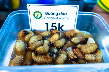 Du khách nín thở thưởng thức các món côn trùng “kinh dị”