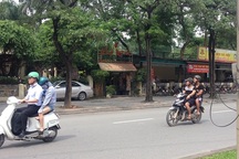 “Xà xẻo” vườn thú Thủ Lệ để kinh doanh, xây nhà