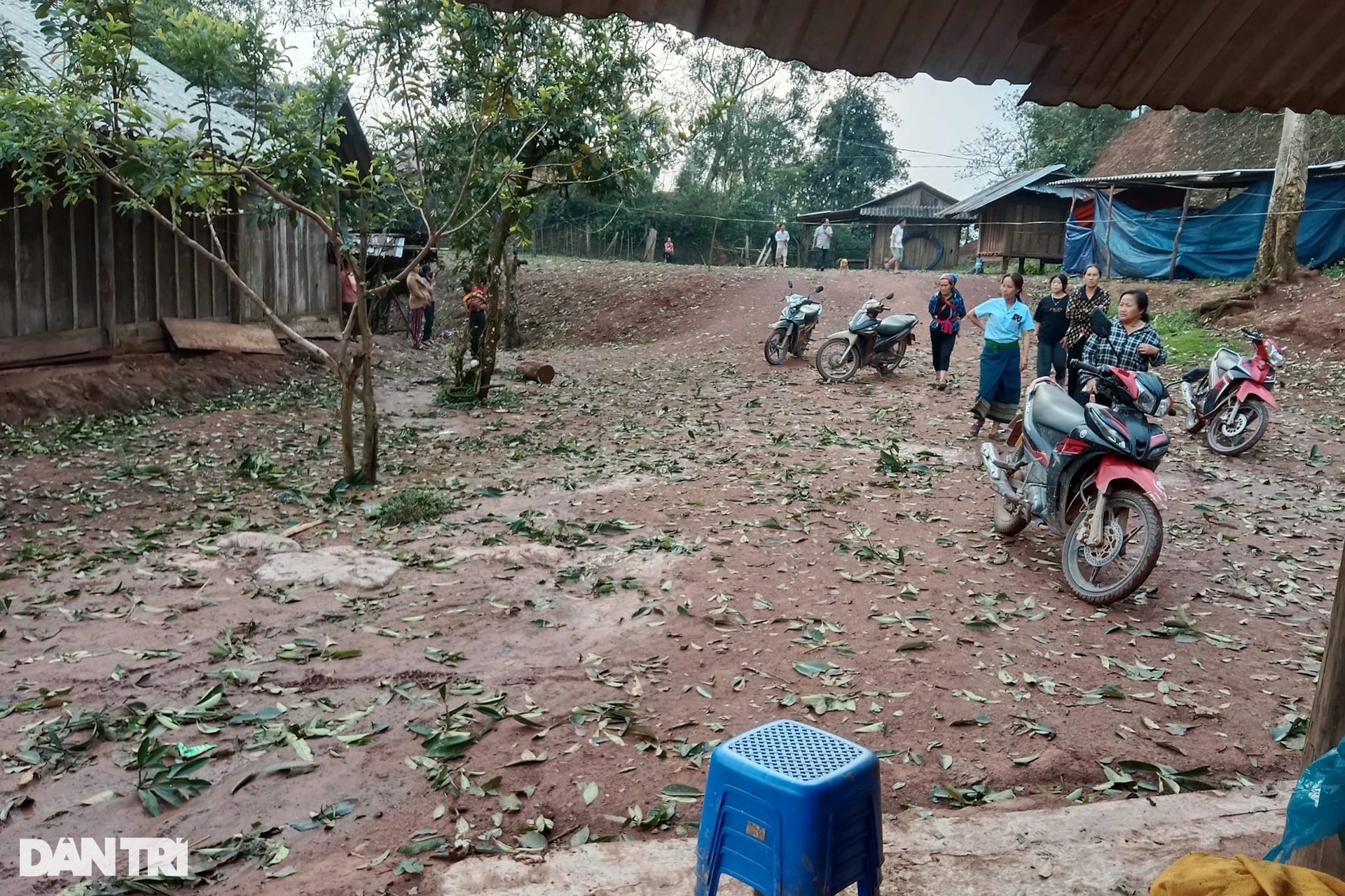 Mưa đá trắng trời ở các huyện biên giới Nghệ An - 4 Mưa đá trắng trời ở các huyện biên giới Nghệ An - 4