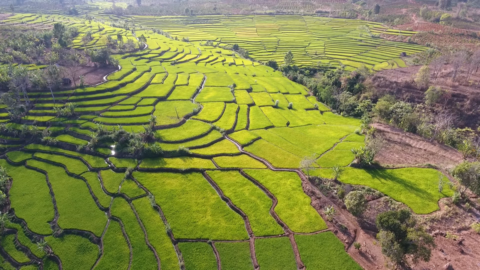 Gia Lai: “Mê mẩn” vẻ đẹp của ruộng bậc thang - 1 Gia Lai: “Mê mẩn” vẻ đẹp của ruộng bậc thang - 1
