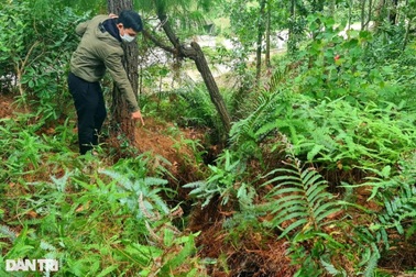 Thân núi nứt toác, hàng chục hộ dân nơm nớp sống