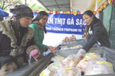 Hà Tây mở điểm bán thịt gà sạch đầu tiên
