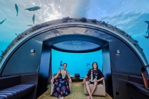 Vợ chồng Việt Hương chi 400 triệu đồng/đêm kỷ niệm ngày cưới dưới đáy biển