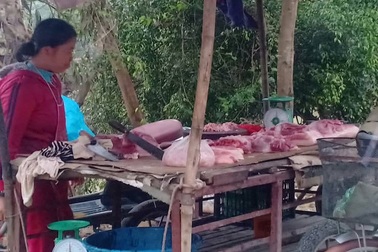 Xuất hiện dịch lở mồm long móng tại Thanh Hóa