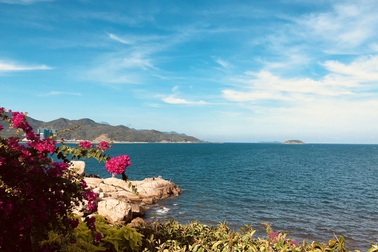 Mường Thanh Viễn Triều: Căn hộ 800 triệu đồng cho thuê 20 triệu đồng/tháng tại sao không?