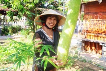 Khu vườn rau nghĩa tình với giá 0 đồng của phụ nữ Hội An