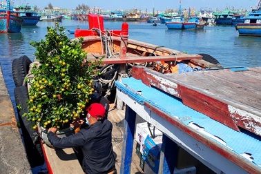 Những chuyến tàu vượt biển “chở Tết” ra đảo tiền tiêu