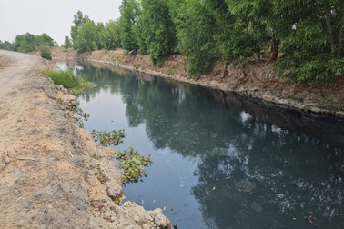 Giám đốc công ty xử lý chất thải ở Long An bị phạt 800 triệu đồng