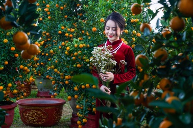 Giới trẻ xúng xính váy áo check-in chợ hoa Tết Đà Nẵng